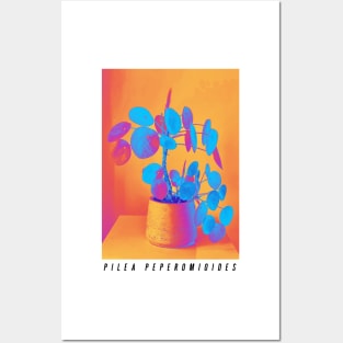 Pilea Peperomioides Plant with Text Posters and Art